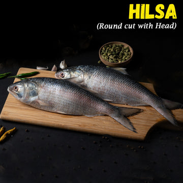 Hilsa(Ilish) Fish 2 pcs Round cut with Head Nt. Wt. 520-570 g