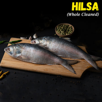 Hilsa(Ilish) Fish 2 pcs whole cleaned Round cut with Head Nt. Wt. 520-570 g