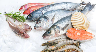 "Fish Tales: Unveiling the Intriguing Stories of India's Lesser-Known Seafood Stars"