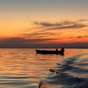 How Direct Sourcing from Dams Improves Freshness, Pricing, and Farmer Incomes