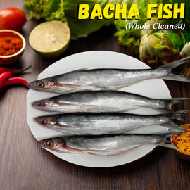 Bacha Fish (Whole cleaned) Nt. Wt. 450-500g (2-3 pcs)