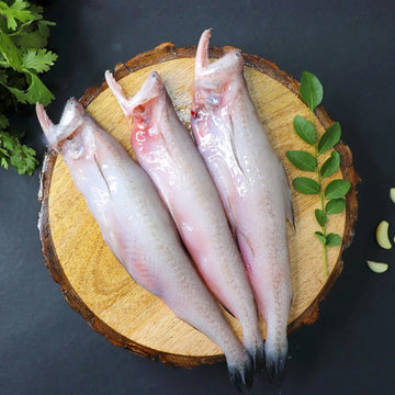 Bombay Duck (Bombil) whole cleaned Nt. Wt. 450-500g