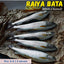 Raiya Bata (Whole cleaned) Nt. Wt. 500 grams