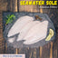 Seawater Sole Fish Boneless Fillets Nt. Wt. 300g