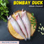 Bombay Duck (Bombil) whole cleaned Nt. Wt. 450-500g (10-12 pcs)