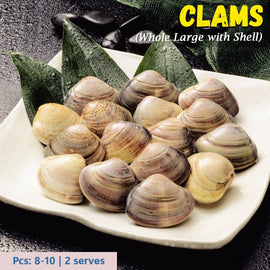 Clams Whole Large with Shell Nt. Wt. 500 g