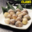 Clams Whole Large with Shell Nt. Wt. 500 g (Pcs 6-8)