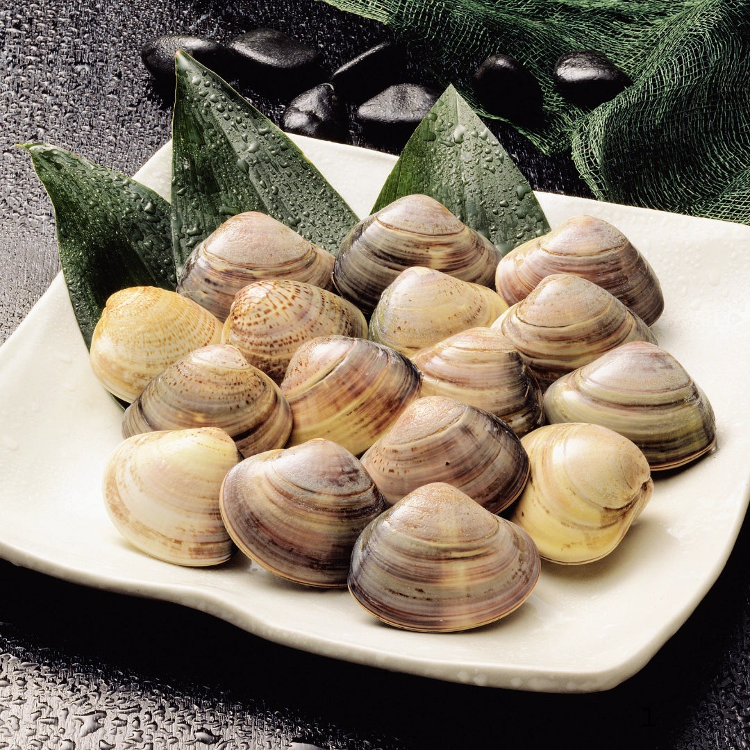 Clams Whole Large with Shell Nt. Wt. 500 g (Pcs 6-8)