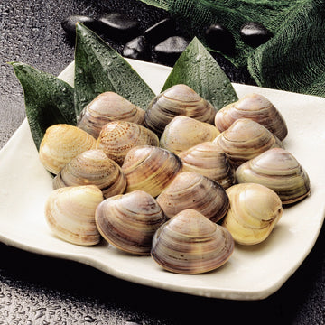 Clams Whole Large with Shell Nt. Wt. 500 g (Pcs 6-8)