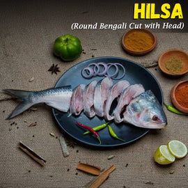 Hilsa(Ilish) Fish Round Bengali Cut wt Head Nt. Wt. 500 - 600g