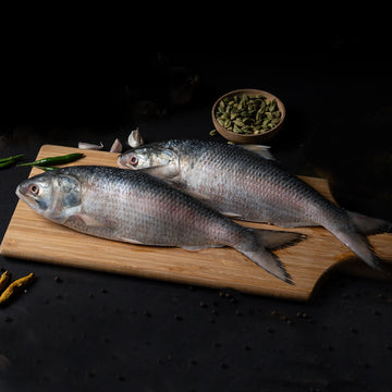 Hilsa(Ilish) Fish 2 pcs Round cut with Head Nt. Wt. 520-570 g