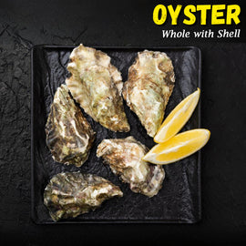 Oyster Whole with Shell Nt. Wt. 500g (4-6 Pcs)